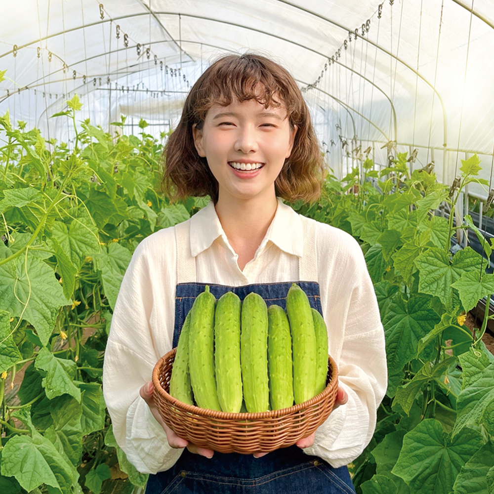 지씨네 농장 백다다기 오이 : 지씨네 농장