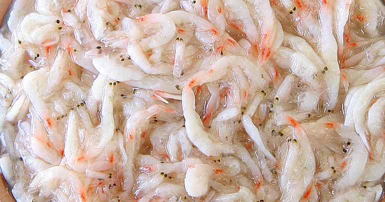 새우추젓 특품 2kg 깨끗함강경제일젓갈 : 강경제일젓갈 할인매장
