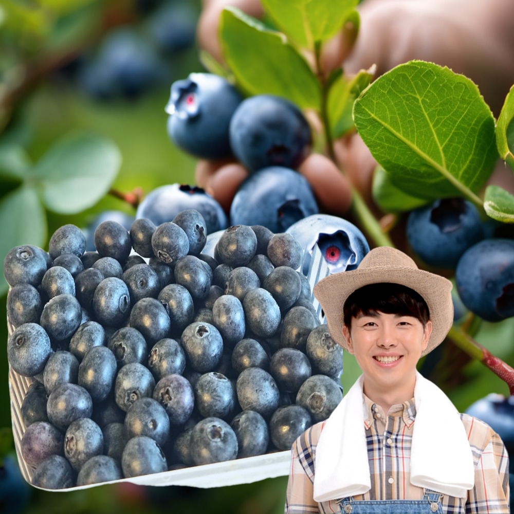 친환경 국산 무농약 블루베리 1kg 1키로 블루베리 농장 베리류 국내산 선물 : 세이브마스터