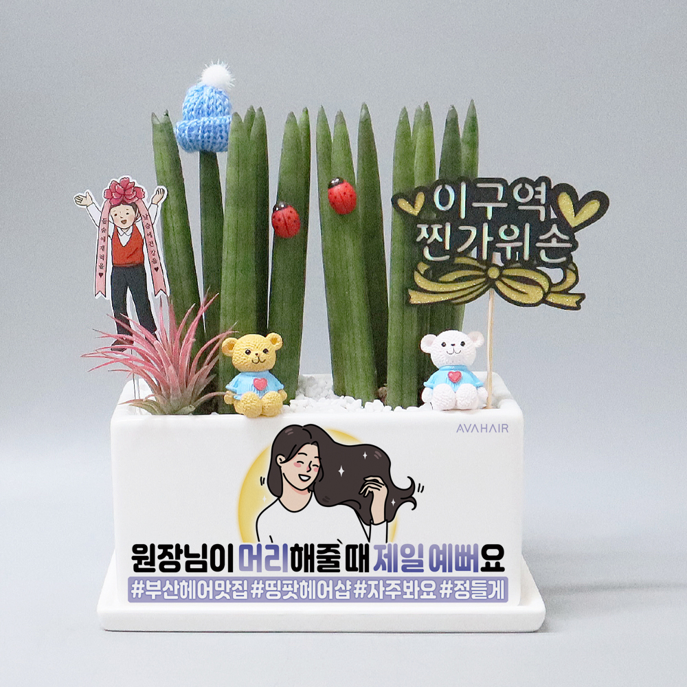 미용실 개업축하 선물하기좋은 디자인화분 키우기쉬운화초 산세베리아 센스있는개업선물 직사각 : 띵팟