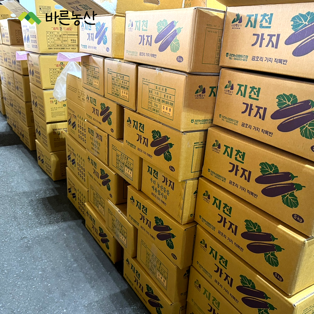 [ 바른농산 ] 국내산 가지 못난이 상품 (5kg, 10kg) / 특품 (5kg) : 바른농산 우리농산