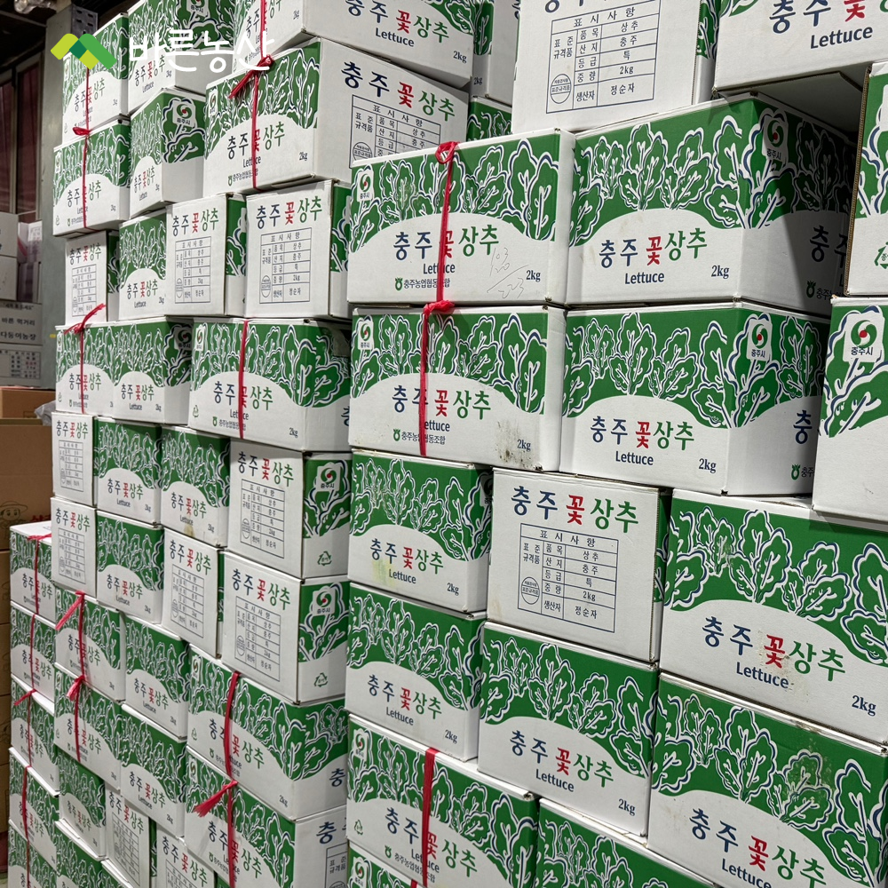 [ 바른농산 ] 국내산 꽃상추 꽃적상추 쌈채소 (2kg) : 바른농산 우리농산