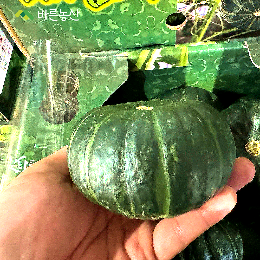 [ 바른농산 ] 국내산 제주도 미니 단호박 : 바른농산 우리농산