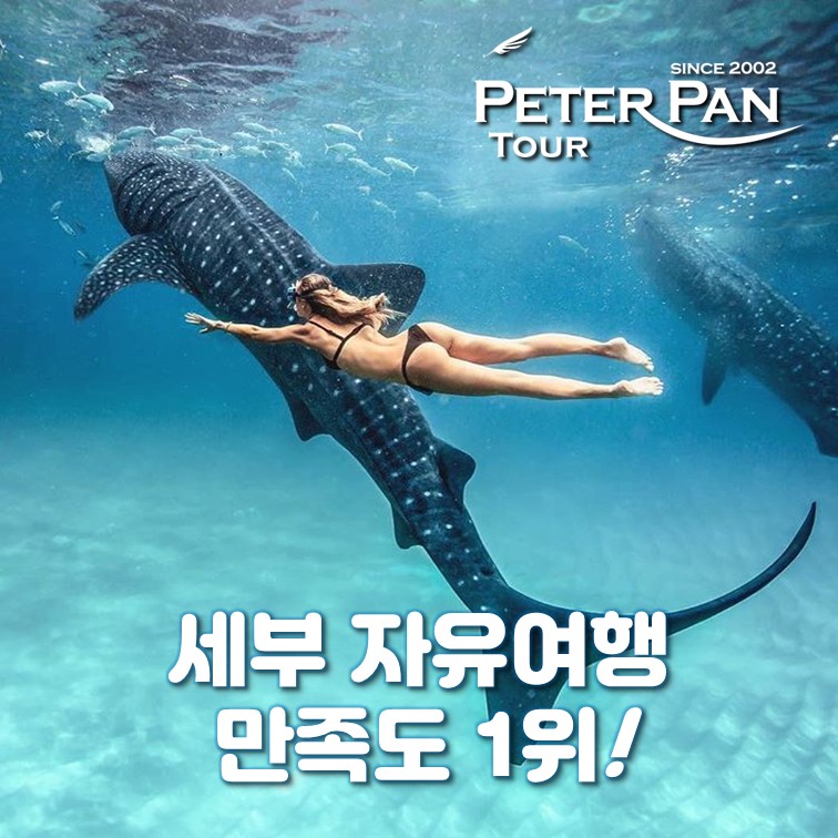 세부 남부투어 시티투어 리무진밴 오슬롭 고래상어 모알보알 캐녀닝 풀빌라 호핑 단독 세부여행 피터팬투어 : 피터팬미디어
