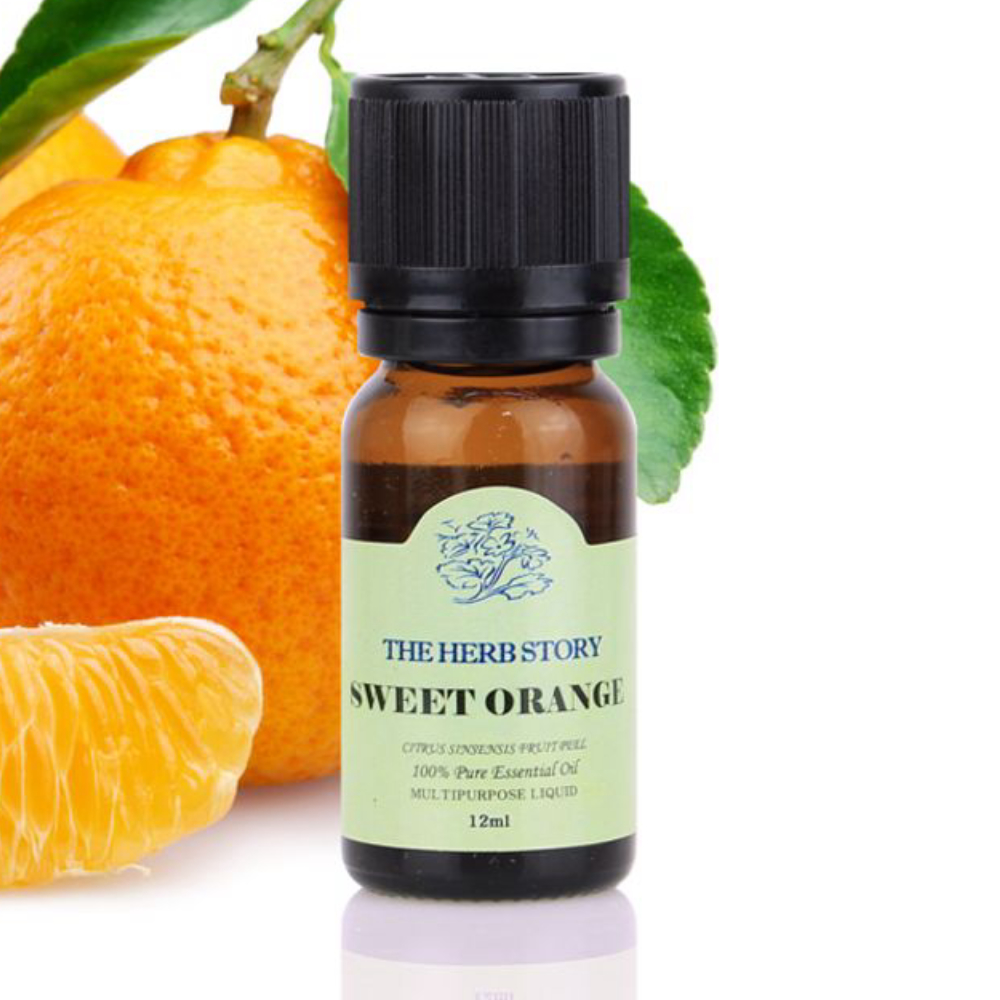 아로마 테라피 12ml 피부 보습 크립 오일 스윗오렌지 마사지 : 글로벌 인사이트