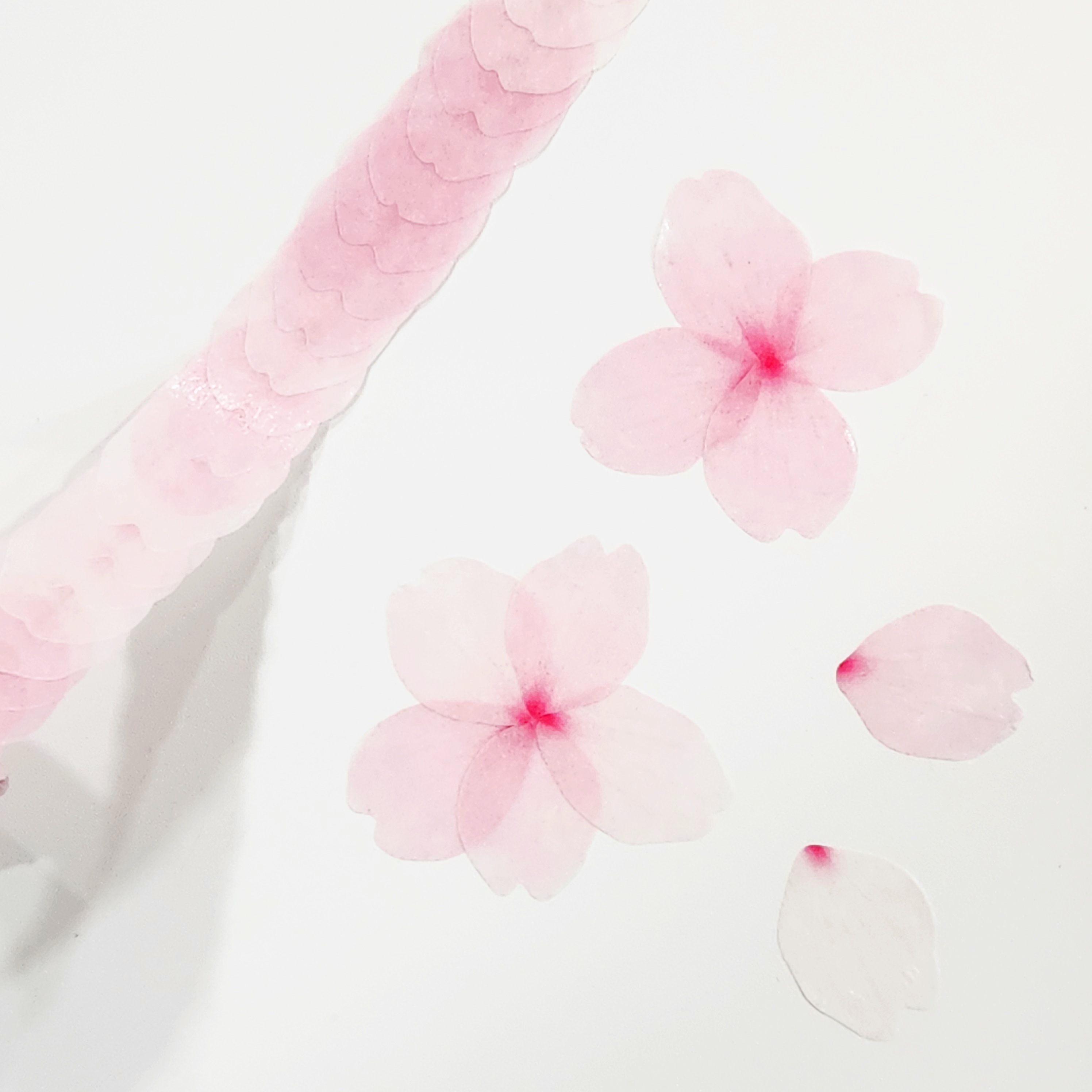 일본 bande 반데 벚꽃 꽃잎 마스킹테이프 A타입 : 지미노샵