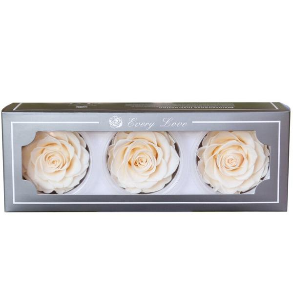 미니드라이플라워 학년 78CM/3pcs 보존 된 큰 장미 머리 결혼식 장식 액세서리 데이 선물 : 해외구매8