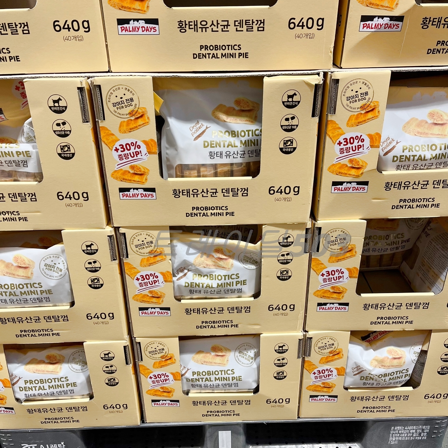 파미데이즈 황태 유산균 덴탈껌 16g X40개(640g) 코스트코 강아지 간식 대용량 : 트레이딜503