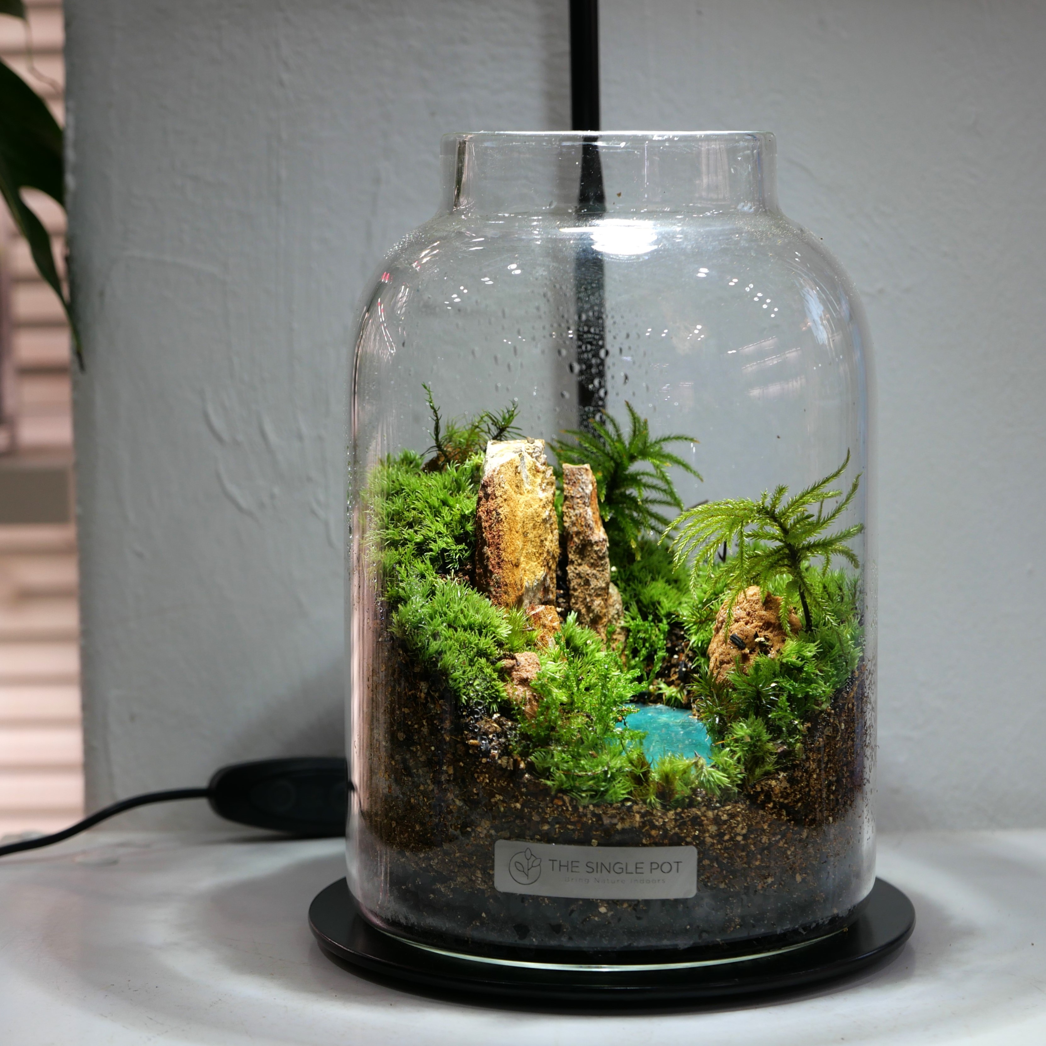머치슨폴 테라리움 DIY : 싱글포트