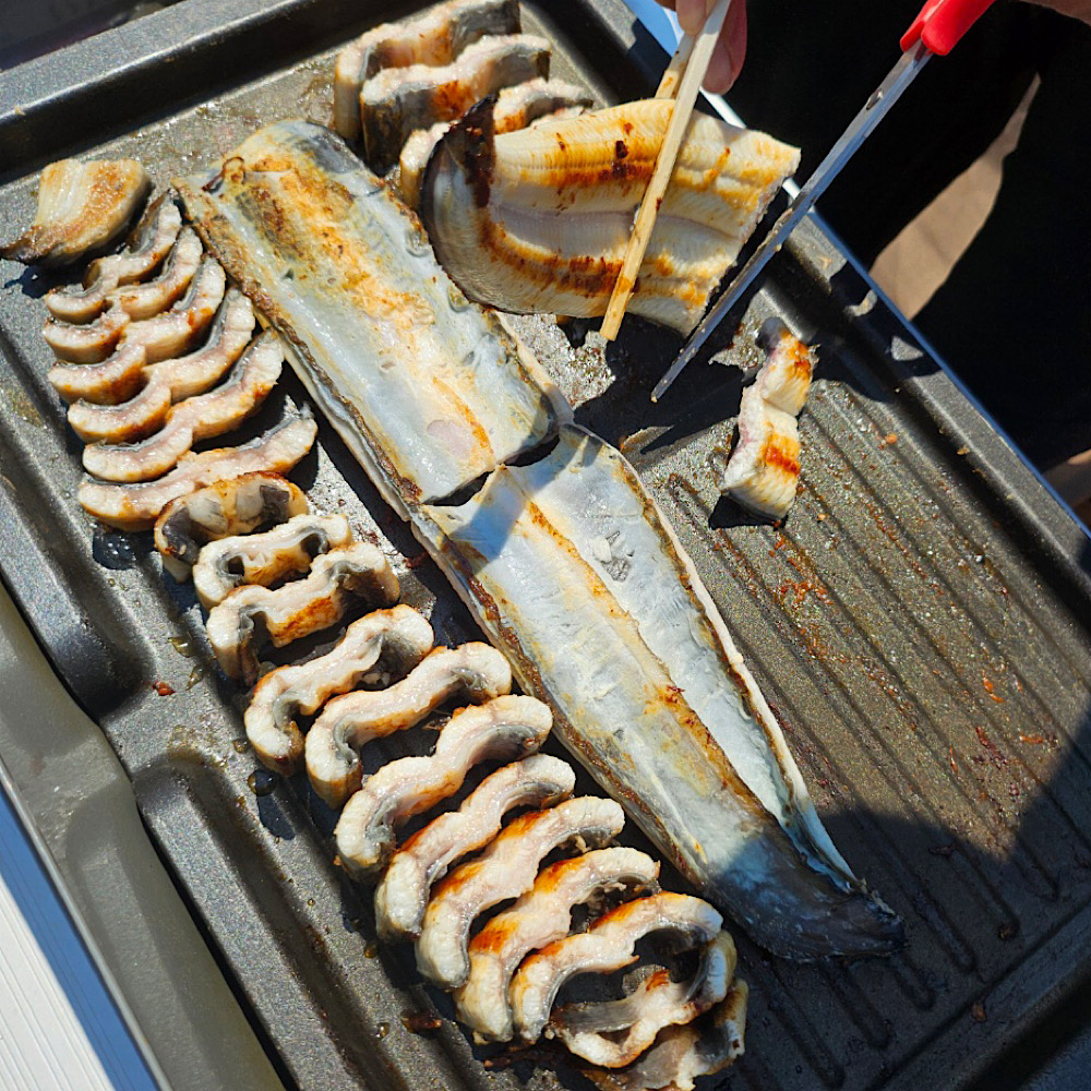 국내산 풍천 민물 장어 손질 자포니카 장어 손질후 350g 외2종 : 도수산