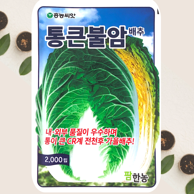 조기가을배추씨앗 통큰불암배추 종자 2000립 팜한농 : 식물세계