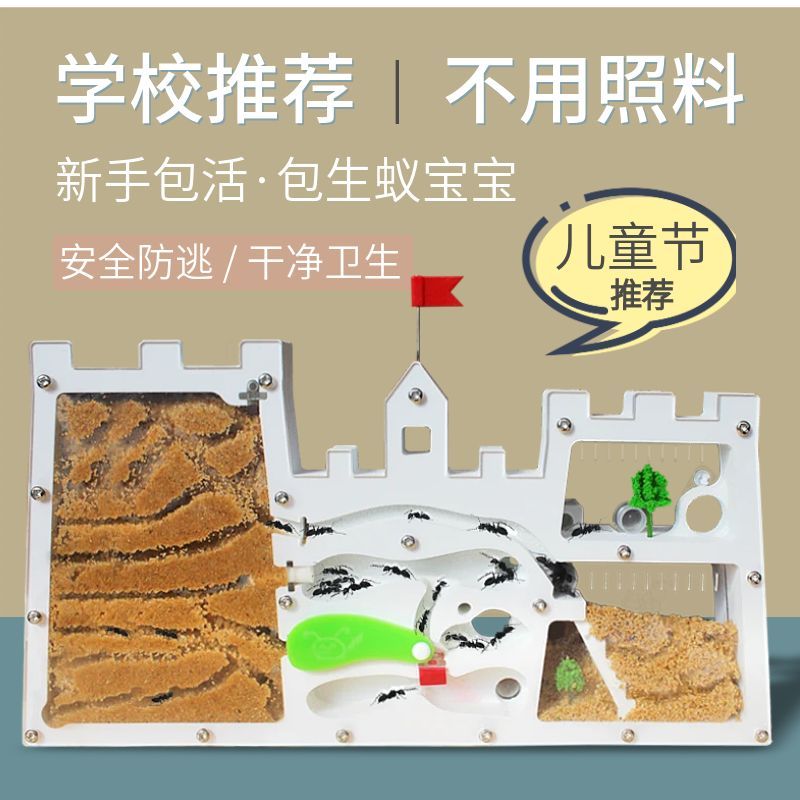 사육장 개미 키우기 관찰 여왕개미 집 아크릴 곤충농장 : 플렌들리 잇다