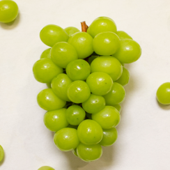 프리미엄 샤인머스켓 마이하트 레드 샤인머스캣 800g 1kg 2kg : 가락공판장
