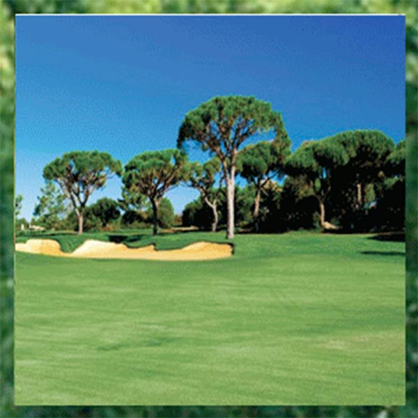 스크린 골프 golf 골프장 필드 드라이브 퍼팅 초원 카페노천 커피 파르텔 벽지 시트지 롤스크린 : 으뜸데코