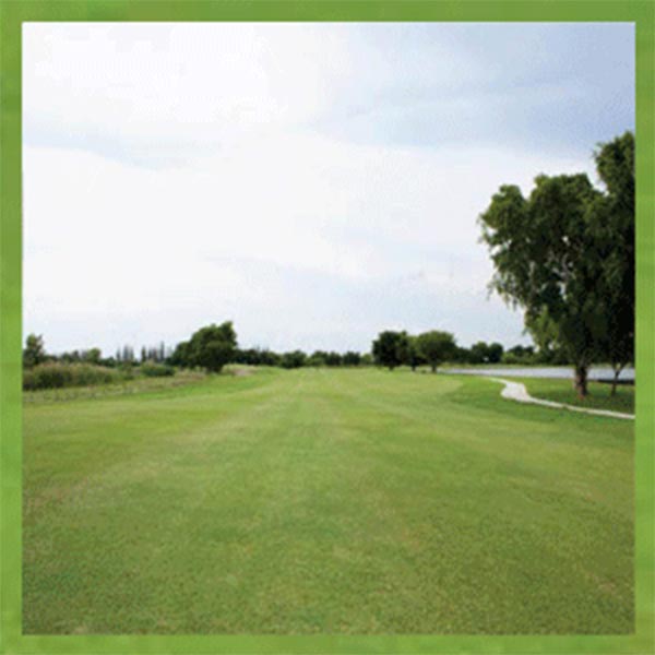 스크린 골프 golf 골프장 필드 드라이브 퍼팅 초원 카페 커피 파르텔 벽지 시트지 부킹 룸 롤스크린 : 으뜸데코