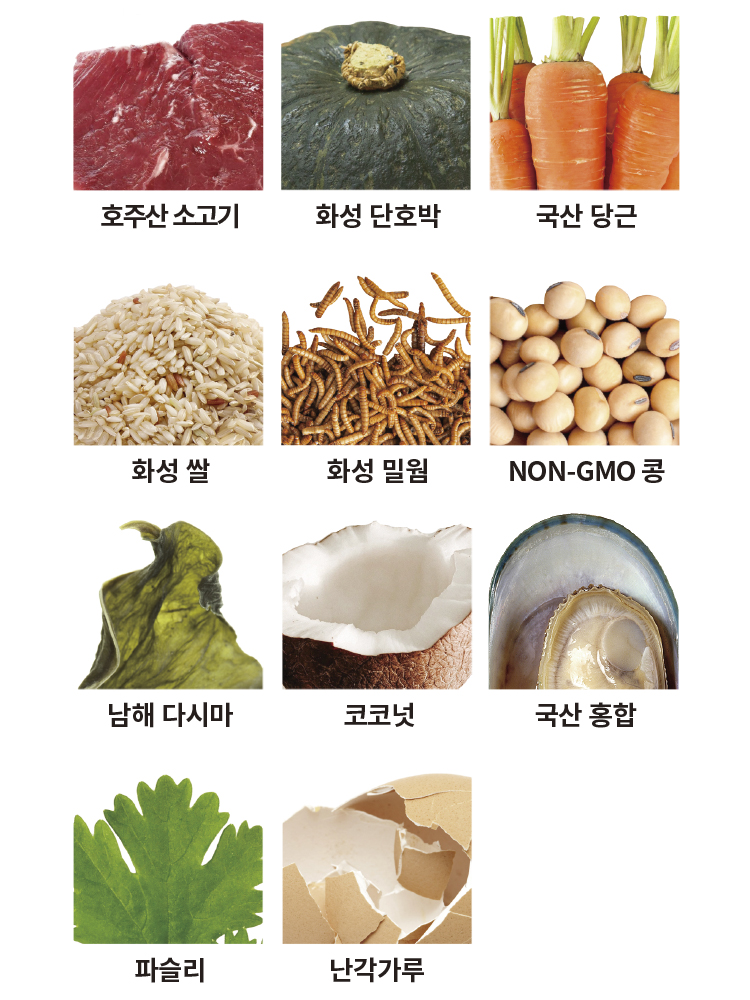 그린밀 비프포독 바이트 100g 단일 단백질 사료 : 메이에르 Meilleur