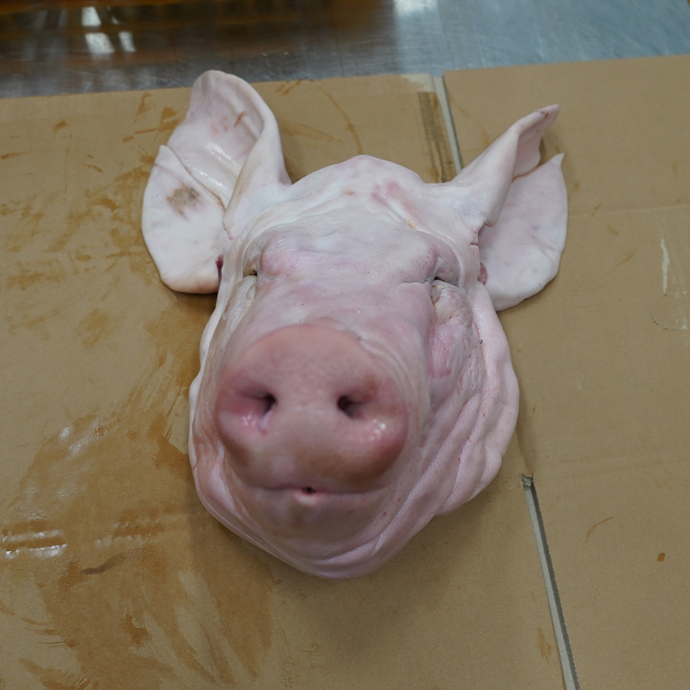 발골 돼지머리 반마리 1마리 머릿고기 통돼지머리 파는곳 돼지국밥 수육 편육 재료 : 꿀맛컴퍼니