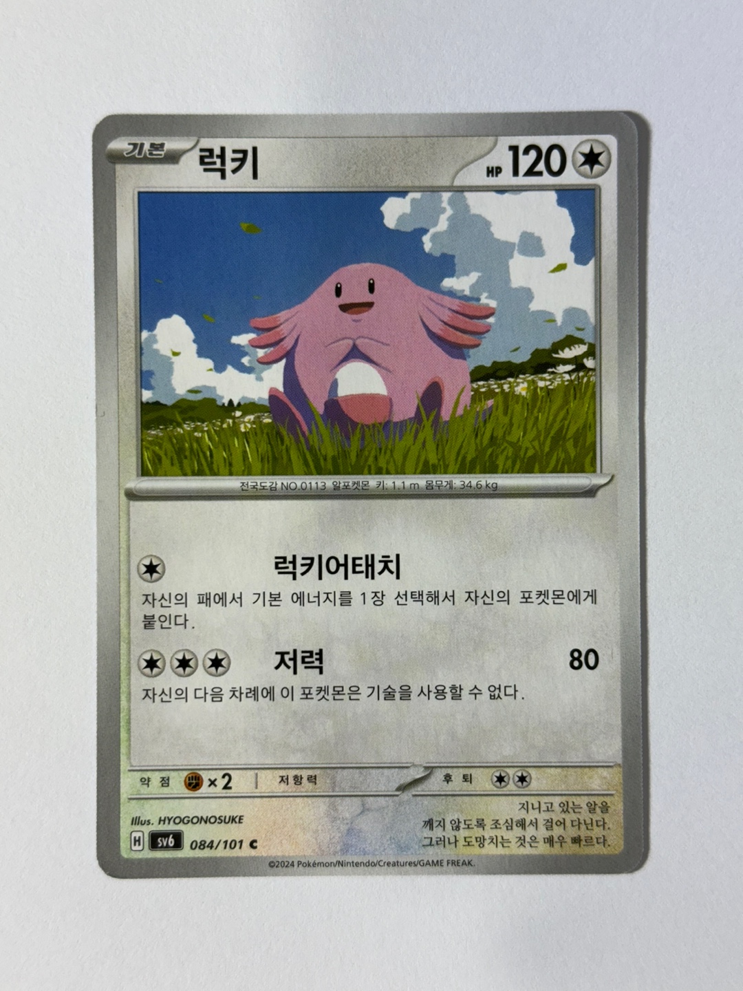 포켓몬카드 럭키 변환의가면 : 화성스토어-TCG-