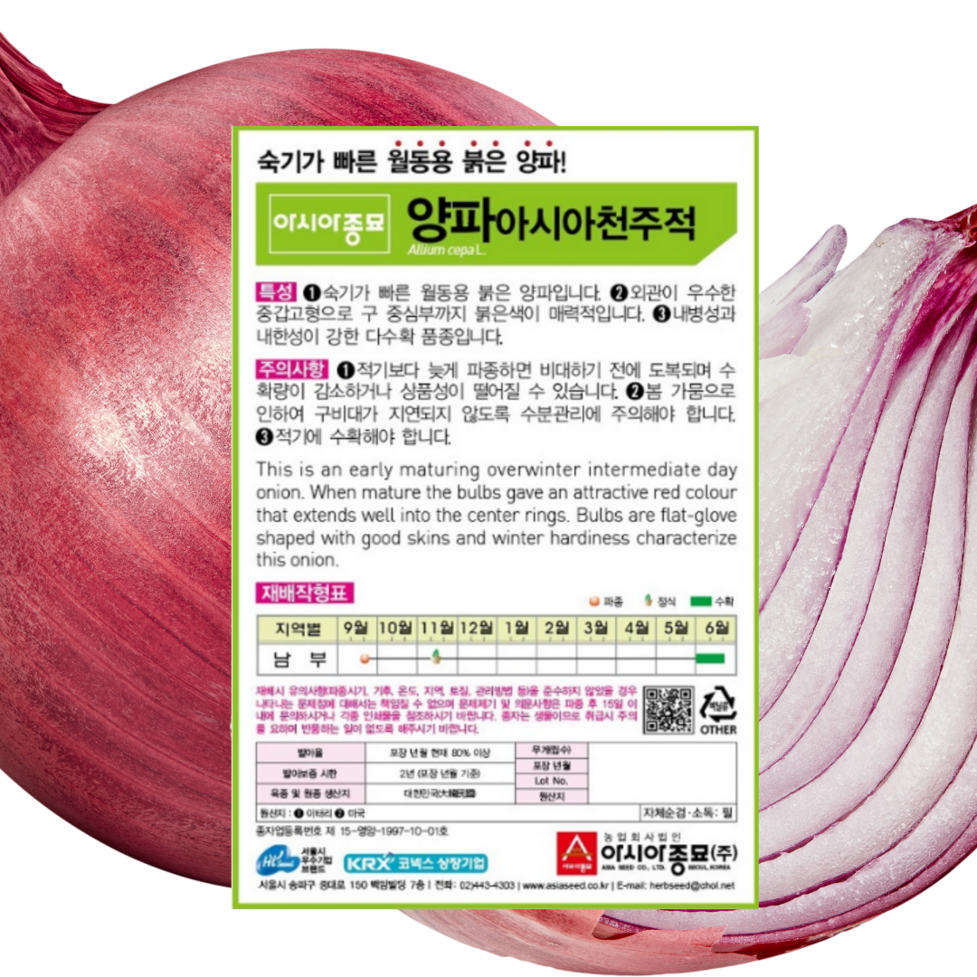 적양파씨앗 천주적양파 2.5g 1봉 빨간양파 월동용 적양파 아시아 : 태웅씨앗자재마트