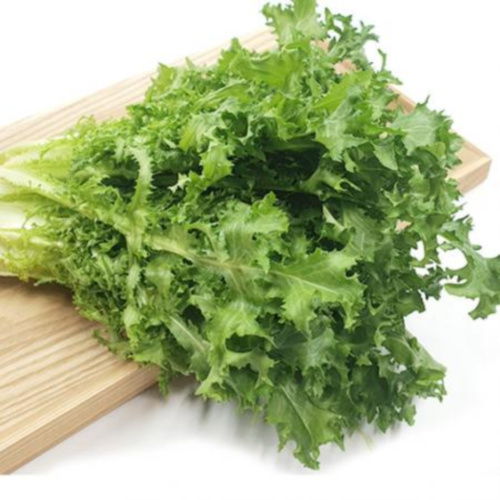 청치커리 1kg (특,국내산) : 다봄 푸드