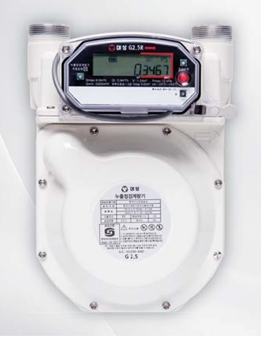 대성계전 디지털 누출점검용 가스계량기(LNG용) 유니온포함 : 주식회사 대영상사