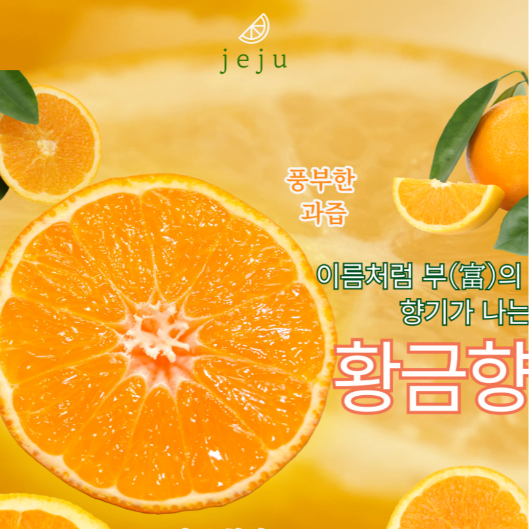 제주도 황금향 농장 명절 선물세트 3kg : 쇼킹템