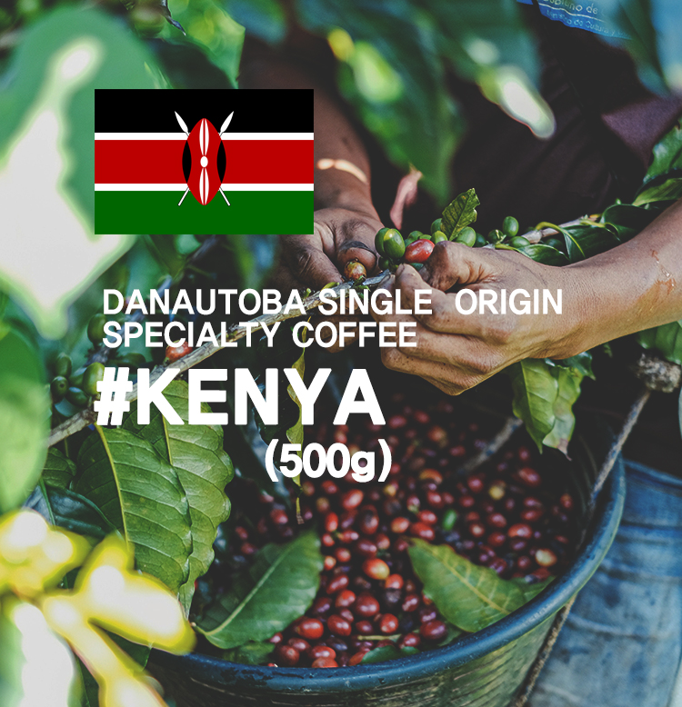 다나우토바 스페셜티 커피 싱글오리진(500g) #KENYA : 다나우토바