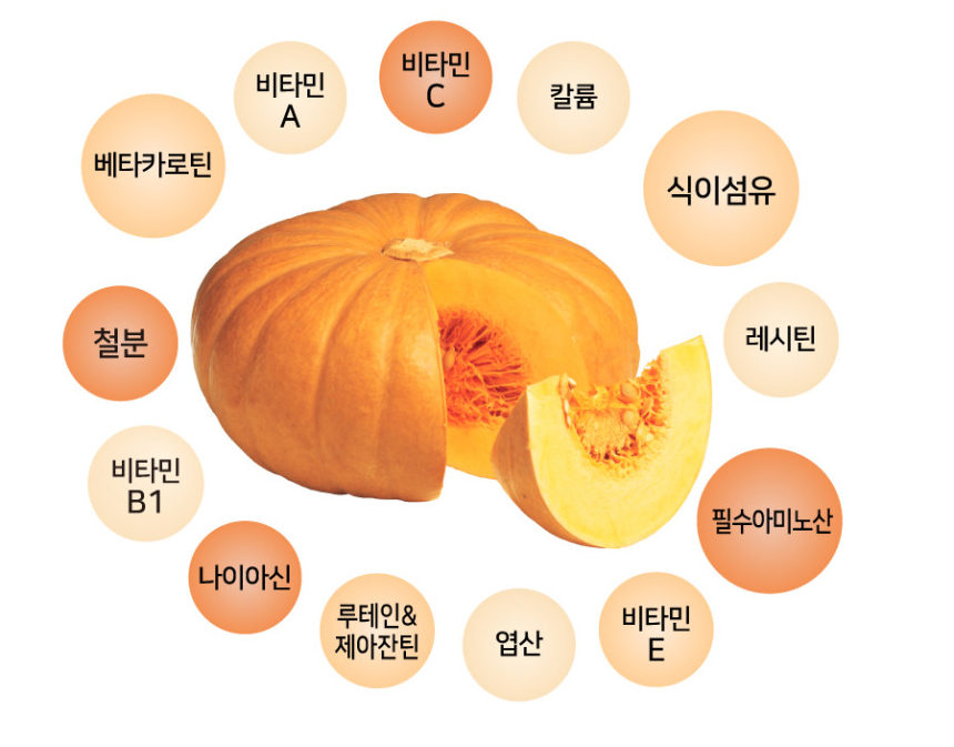 늙은 호박즙 산모 임산부 호박즙 100ml 90개 : 지그미선물