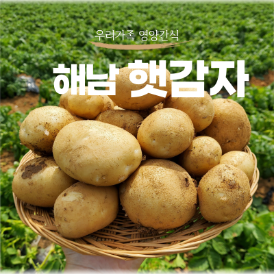 25년 해남 대서감자 홍감자 포슬포슬 카스테라 햇감자 3kg,5kg,10kg : 파머스마마