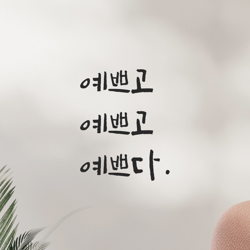 캘리그라피 레터링 스티커 예쁘고 예쁘다 LC-035S 검정 : 모노먼트