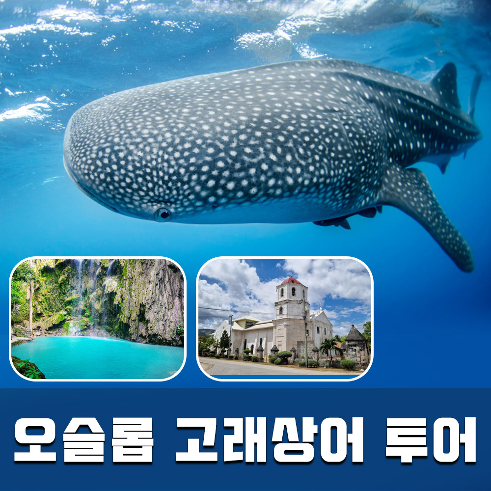 [세부] 오슬롭 고래상어 투말록폭포 성당 투어 패스트트랙 포함 : 필굿투어