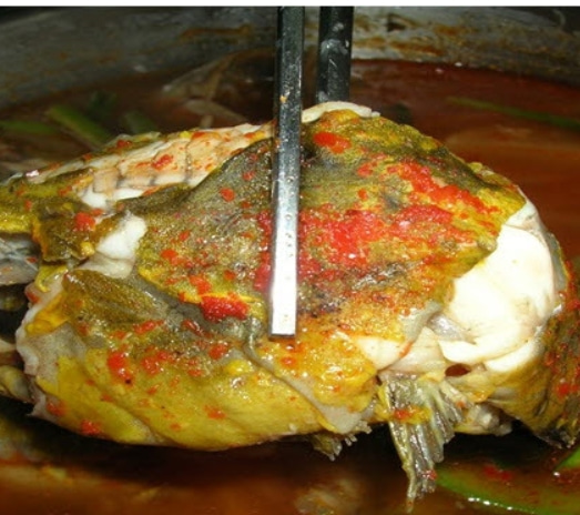 국산 빠가사리 동자개 500-1kg 민물고기 퉁가리 퉁사리 민물매운탕 : 전복마을