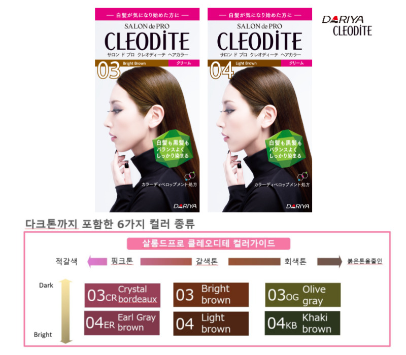 살롱드프로 새치 셀프 흰머리 밝은 일본 세치 염색약 3개입 : 살롱드프로