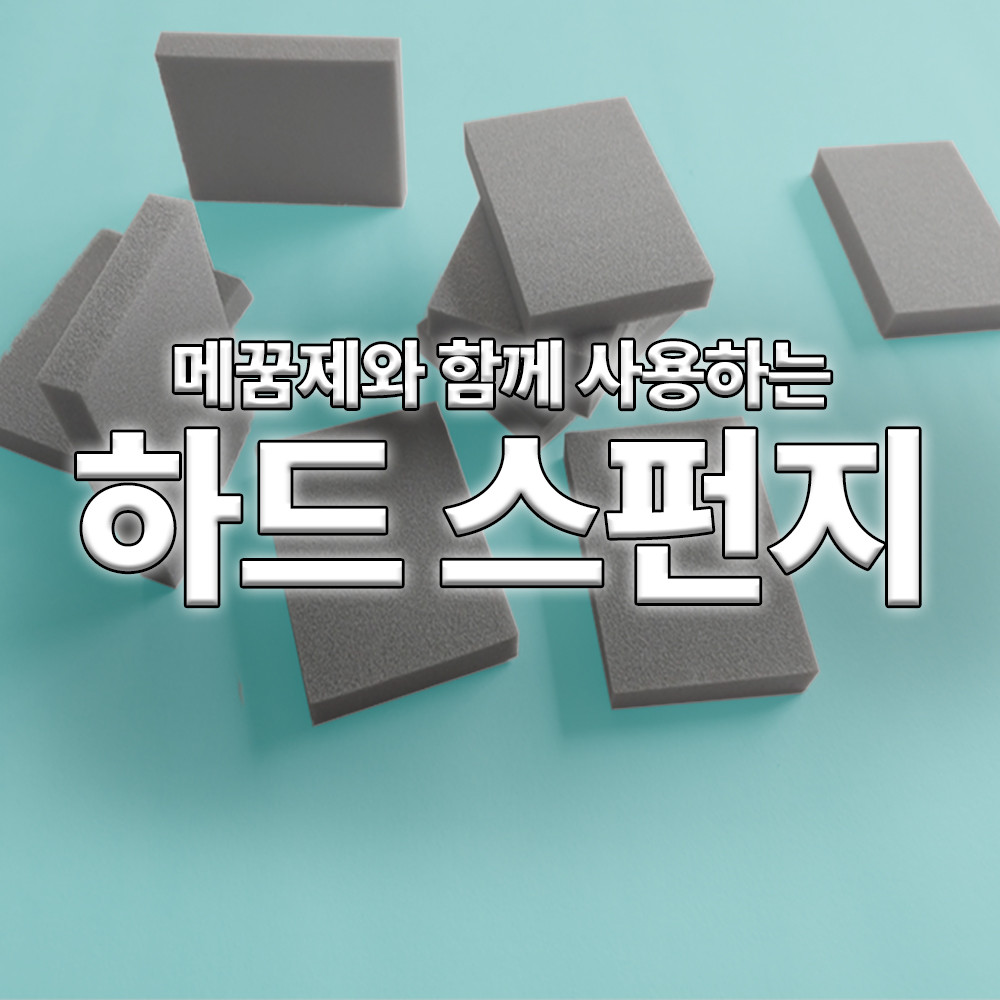 하드스펀지 : 레지나샵