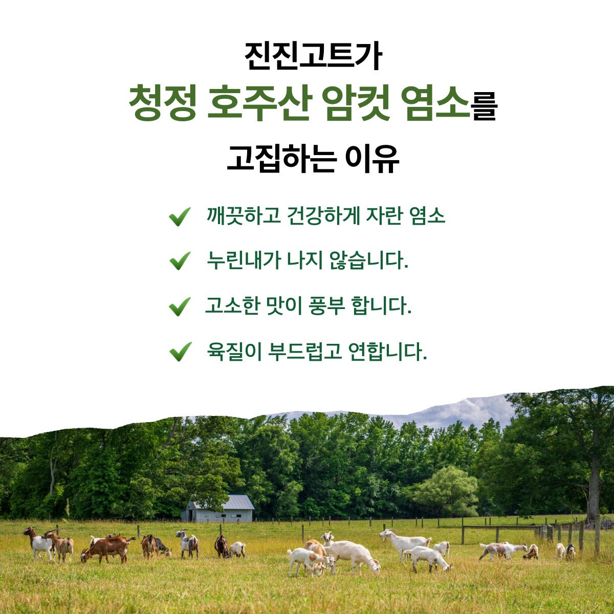 진진고트 염소고기 청정호주산 암컷 Halal goat meat cube cuts 7kg : 진진고트