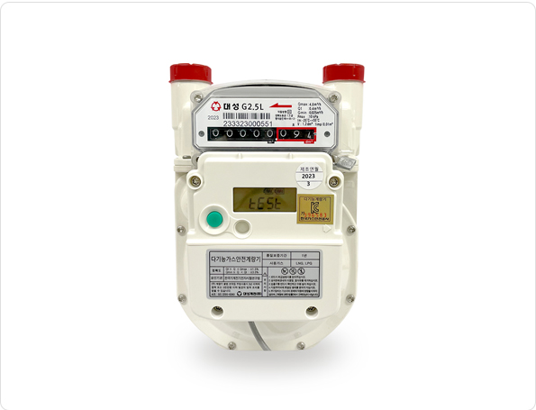 대성계전 다기능 안전 가스계량기(LPG) 유니온포함 : 주식회사 대영상사