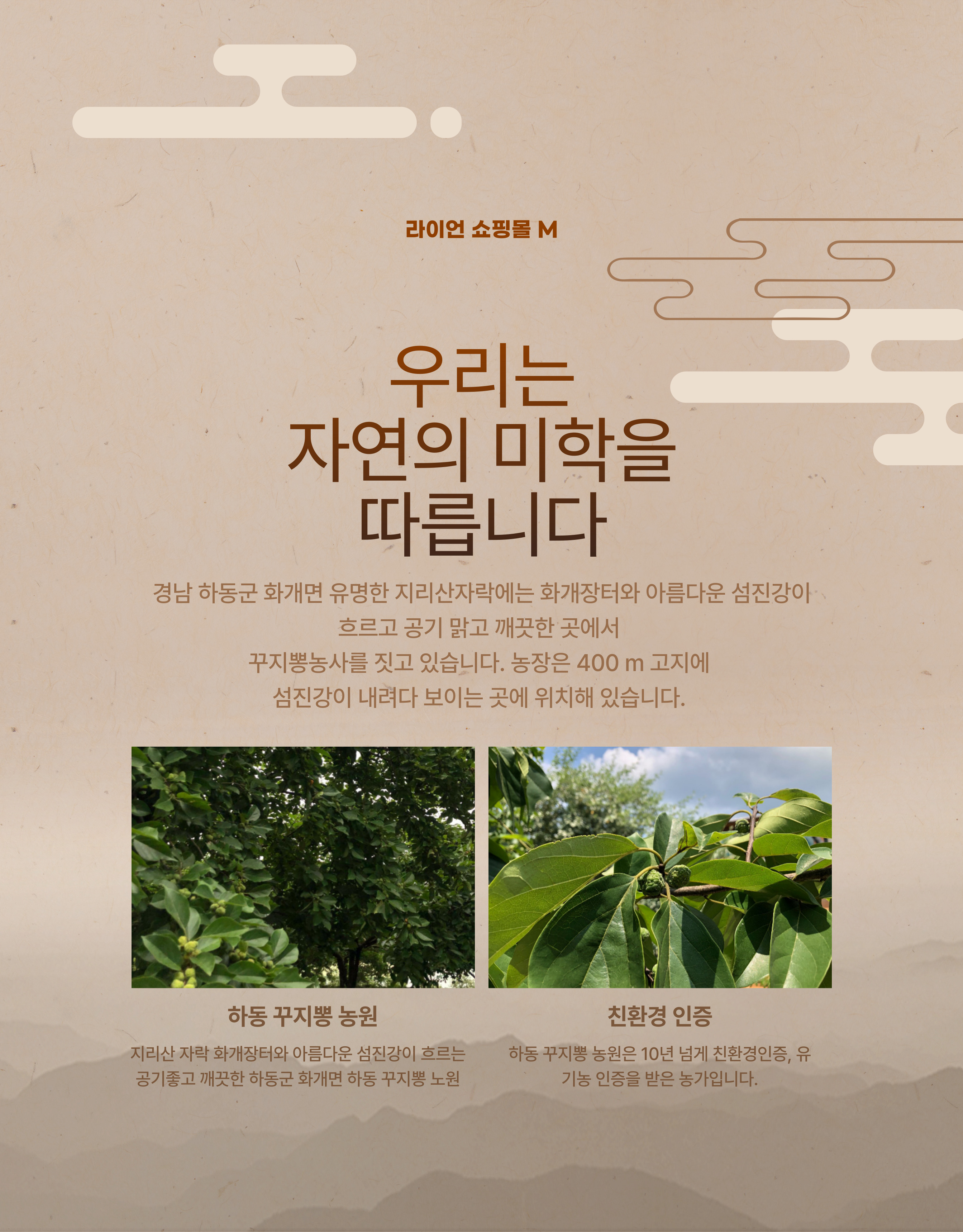 하동 꾸지뽕잎차 55g 하동 꾸지뽕 농원 : 강철 유통
