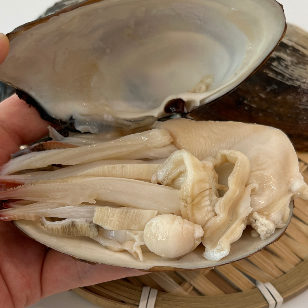 최선장 제철 코끼리조개 왕우럭조개 1kg 특 대왕조개 샤브샤브 : 일등푸드
