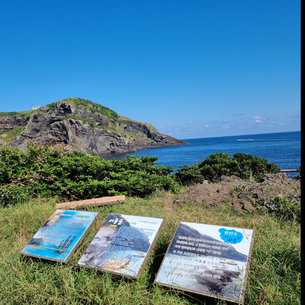 부산출발 [제주도+우도] 우도 섬관광 / 에코랜드 / 힐링족욕체험 / 승마체험 : 아이비투어몰