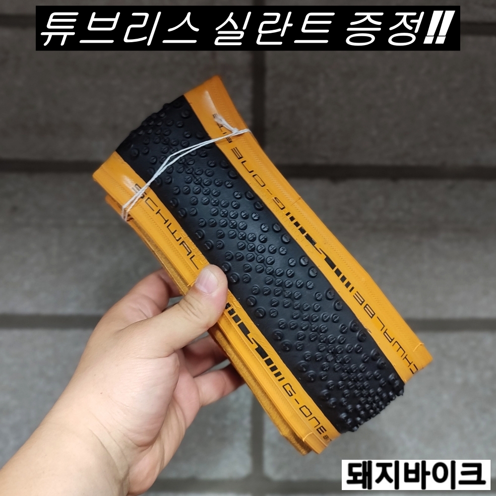 슈발베 G-ONE 바이트 TLE [퍼포먼스] 그래블 자전거 타이어 : 돼지바이크