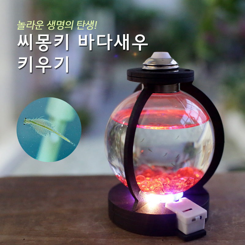 씨몽키밥 애완용 바다 새우 씨몽키 키우기 물갈이 어항 : 109Mall