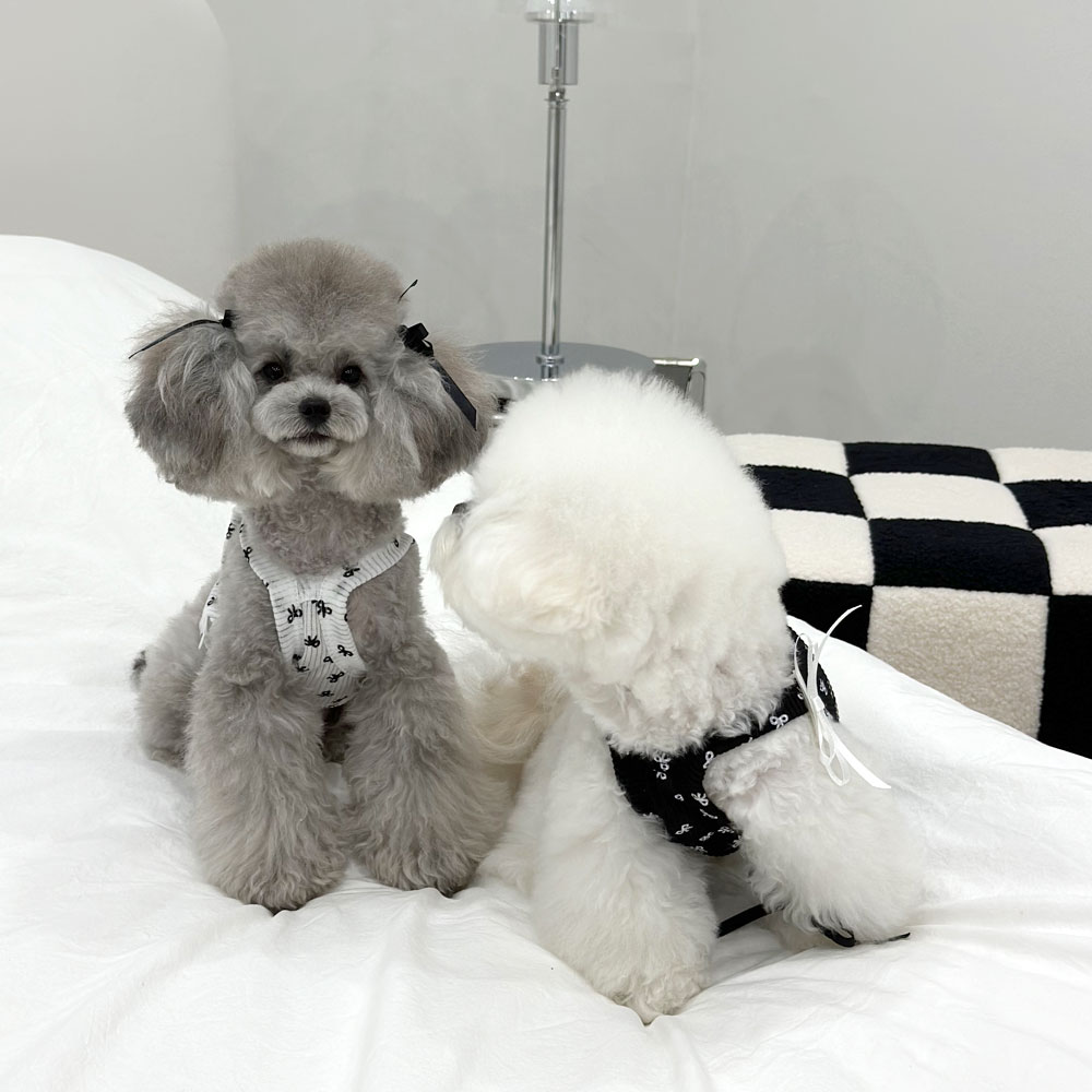강아지 리본 삔 화이트 블랙 헤어 핀 악세사리 : 디어아지 dearazi