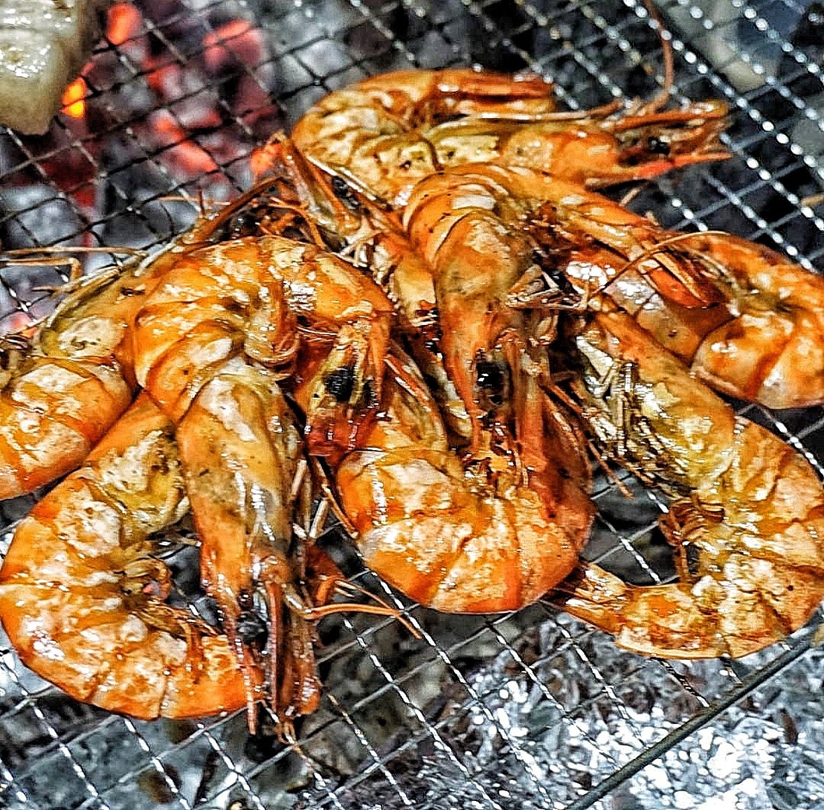 다이버수산 대왕 블랙 타이거 새우 킹타이거새우 500g : 다이버수산