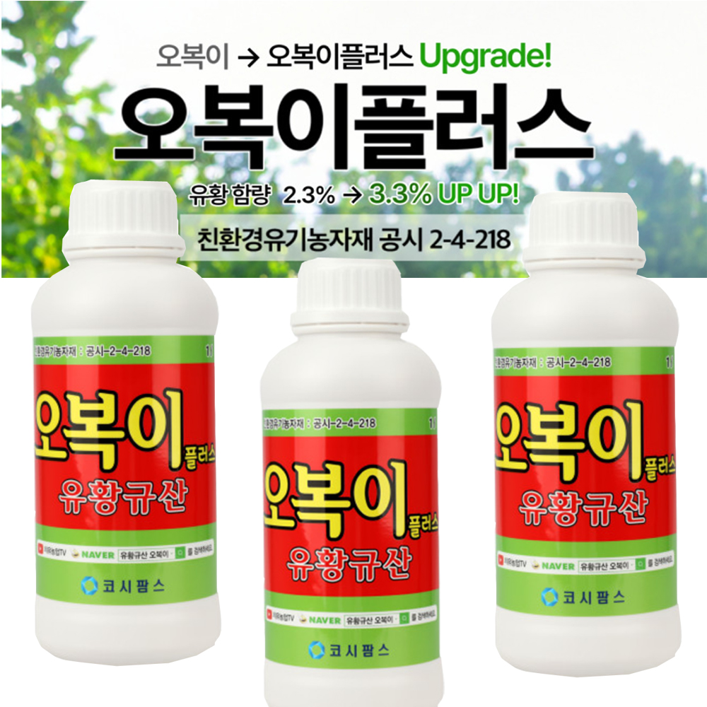 비료 영양제 유황규산 오복이 플러스 1L 3개 : 자연건강메디컬