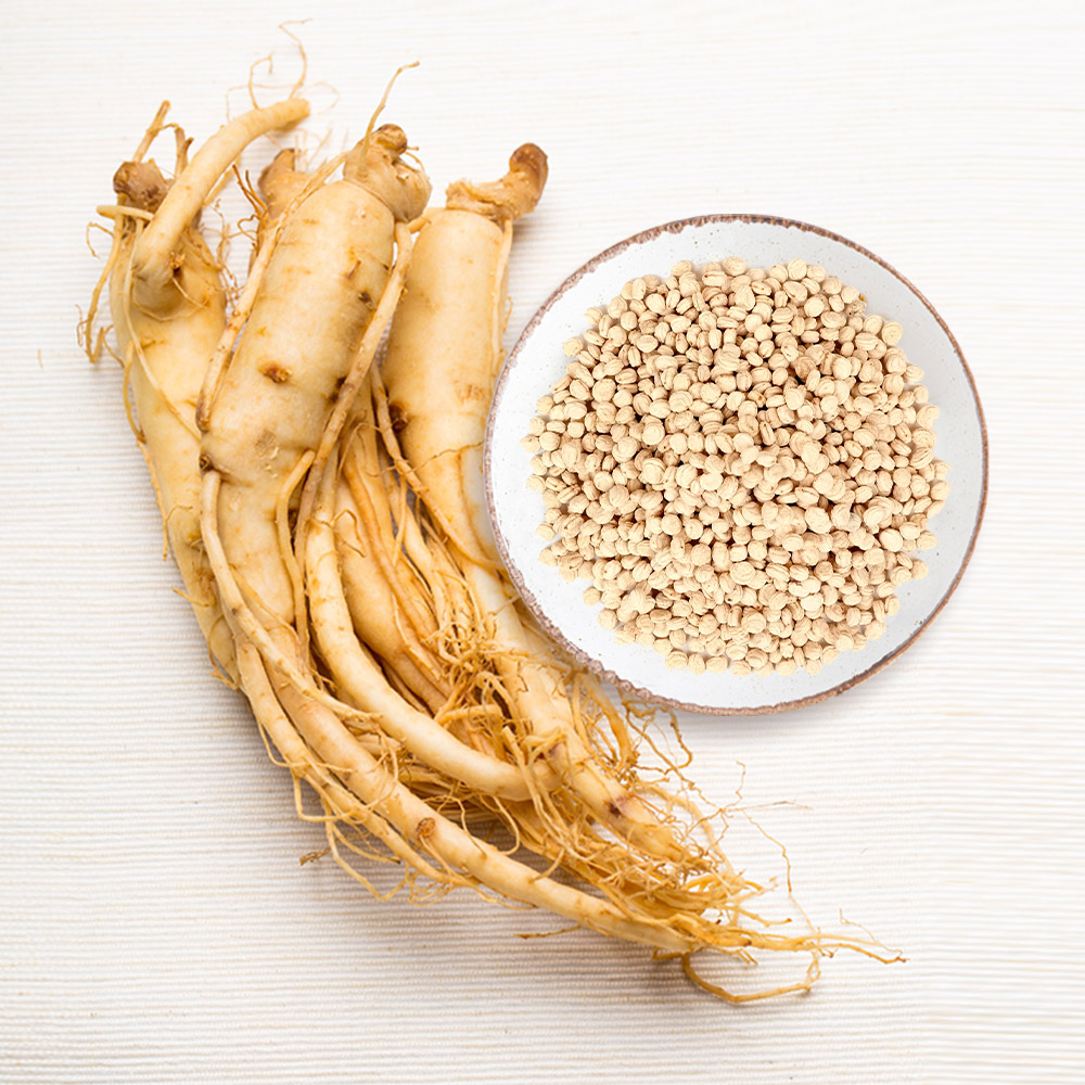 충남 금산 인삼씨 100g / 진생베리,인삼씨앗,말린인삼열매 : 신선약초