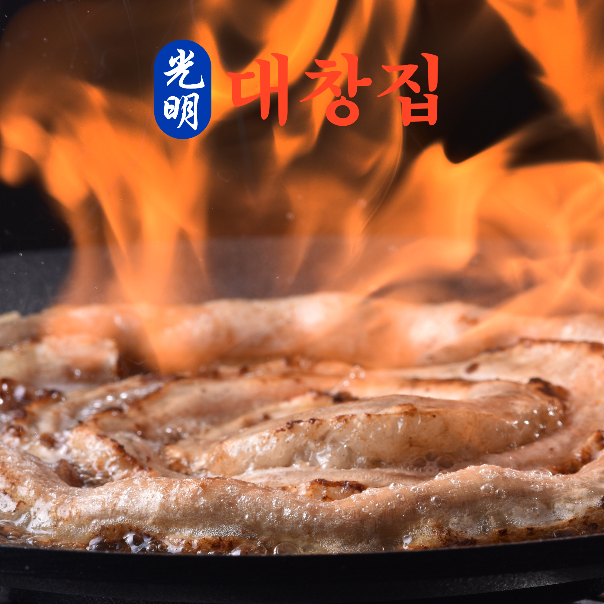 생방송투데이 광명대창집 소곱창 : 조선식탁