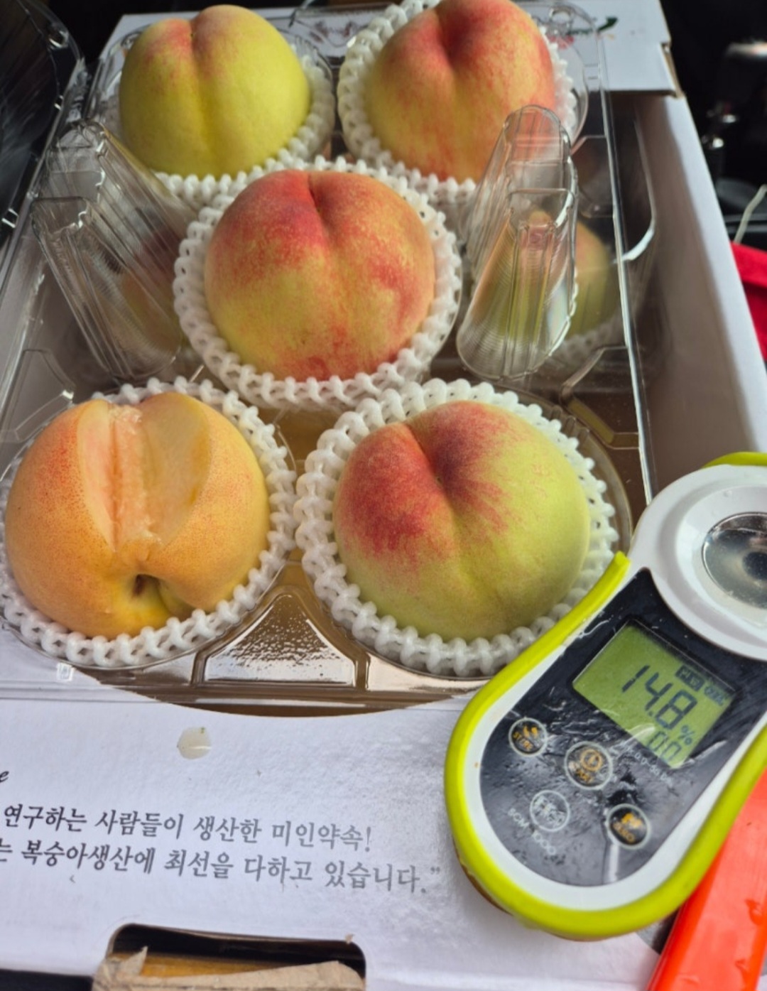 백도 : 알뜰청년단