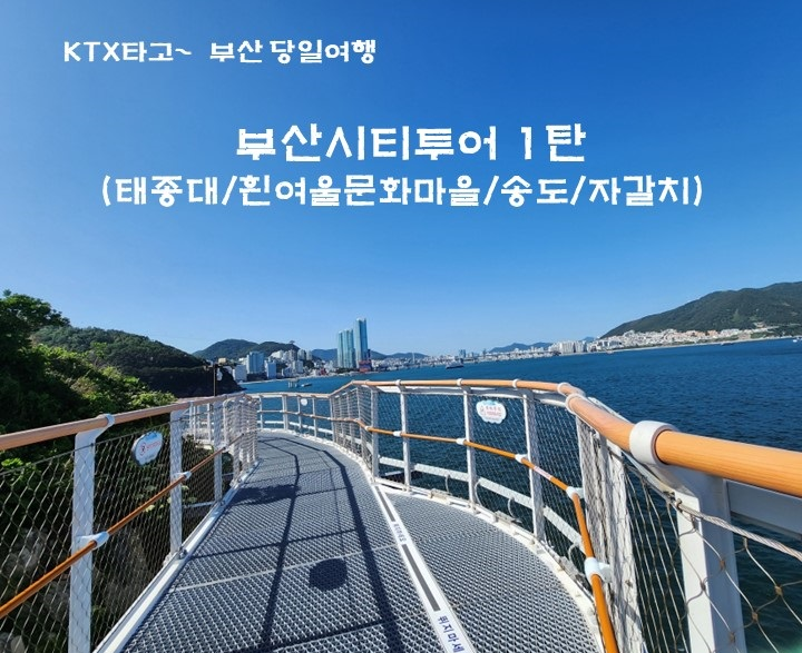 [KTX]부산시티투어 1탄 당일 : 보군여행사