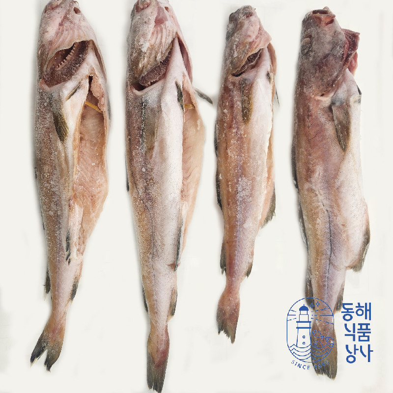 국내산 동해 손질 대구 2kg : 동해식품상사