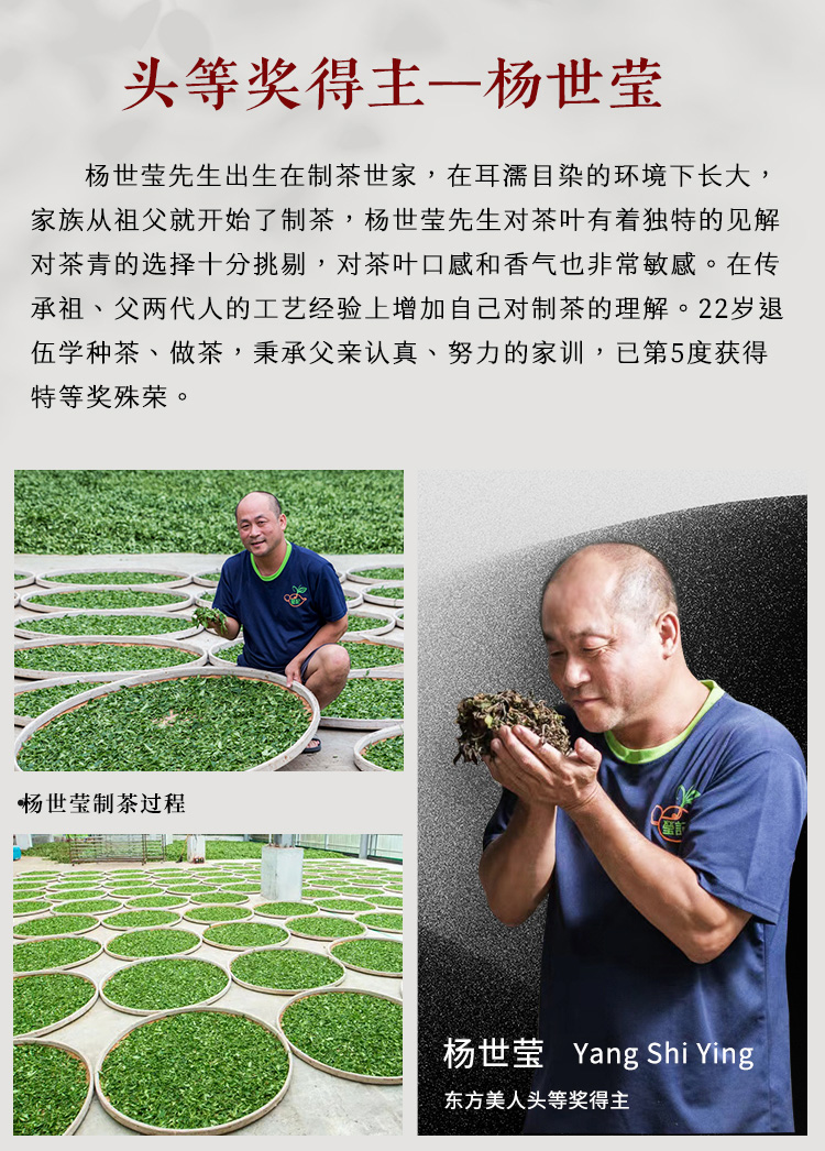 [4-82] 2024년 겨울 비새차(시합차) 동방미인차 대만고산차 팽풍차 백호오룡차 약150g by 신죽현농회 : 운남상회 티다차이